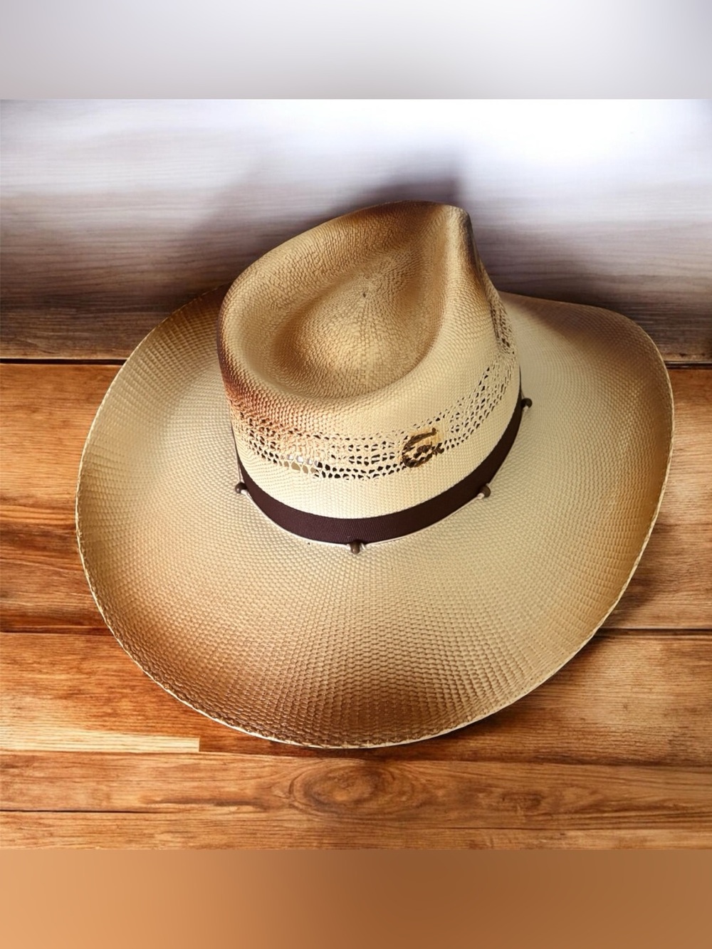 Unisex Straw Cowboy Hat with Brown Band - Natural.
Charlie 1 horse.